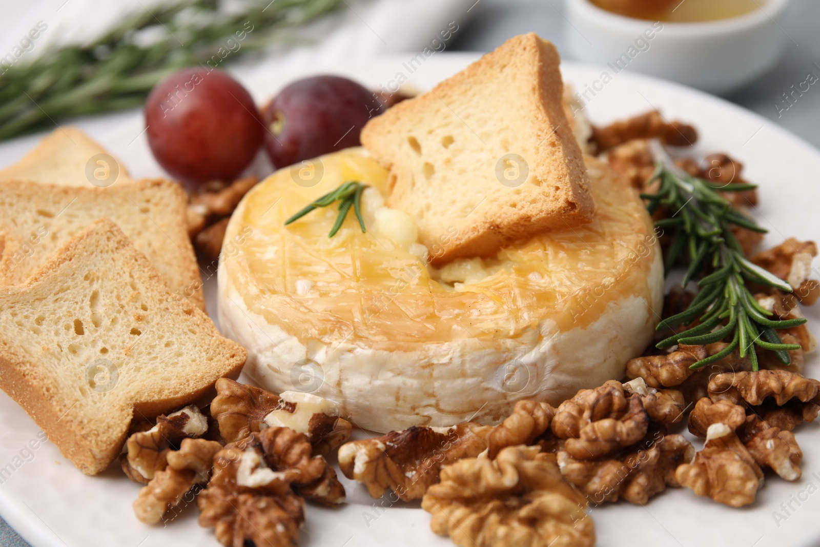 Photo of Tasty baked camembert, croutons and walnuts on plate, closeup