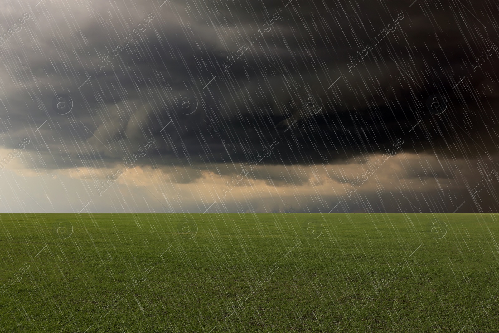 Image of Heavy rain over green grass on grey day