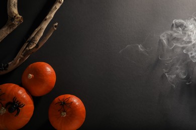 Halloween composition with pumpkins, decorative spiders and wooden branch on black background, flat lay. Space for text