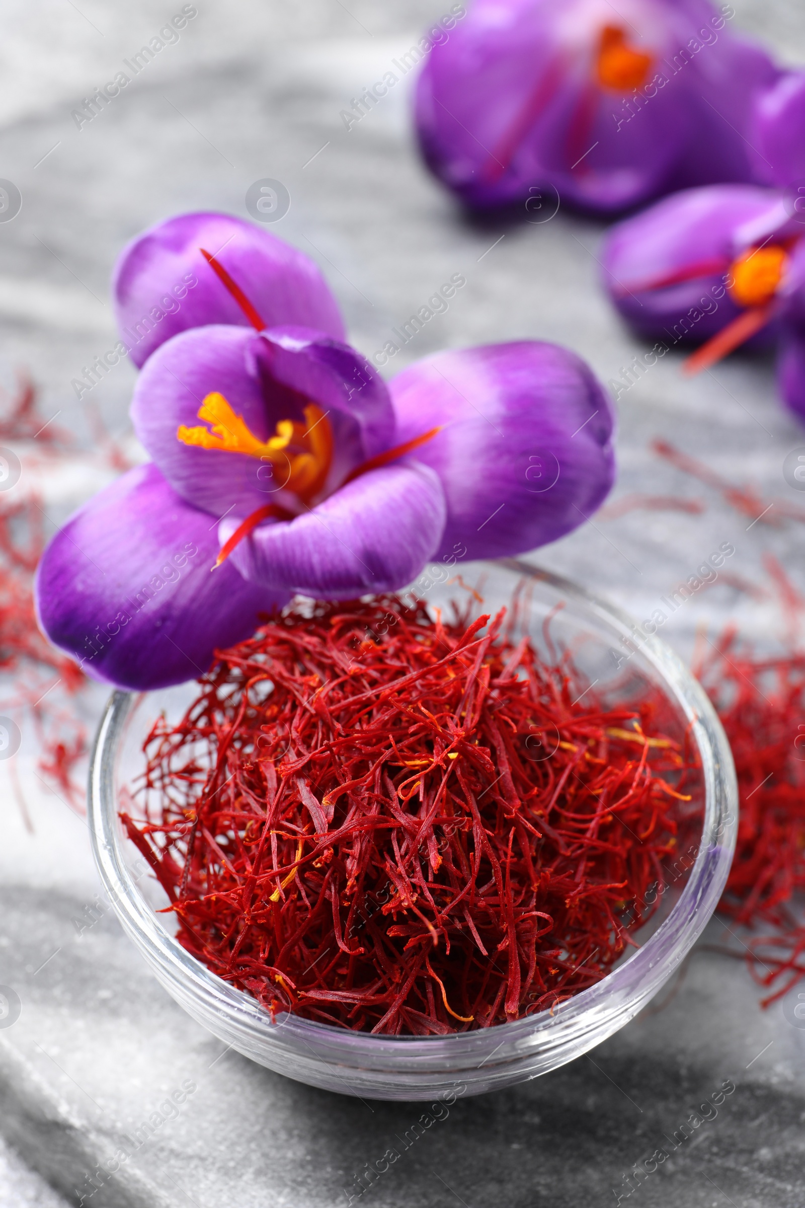 Photo of Dried saffron in bowl and crocus flowers on grey board, closeup