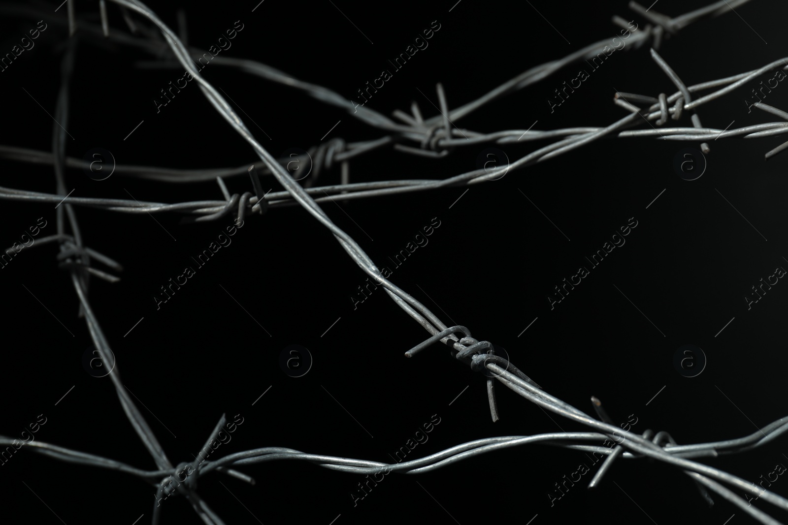 Photo of Metal barbed wire on black background, closeup