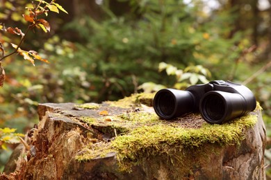 Photo of Binoculars on tree stump in forest. Space for text
