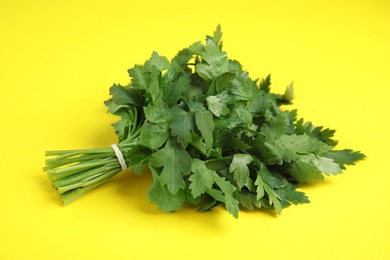 Photo of Bunch of fresh green parsley on color background