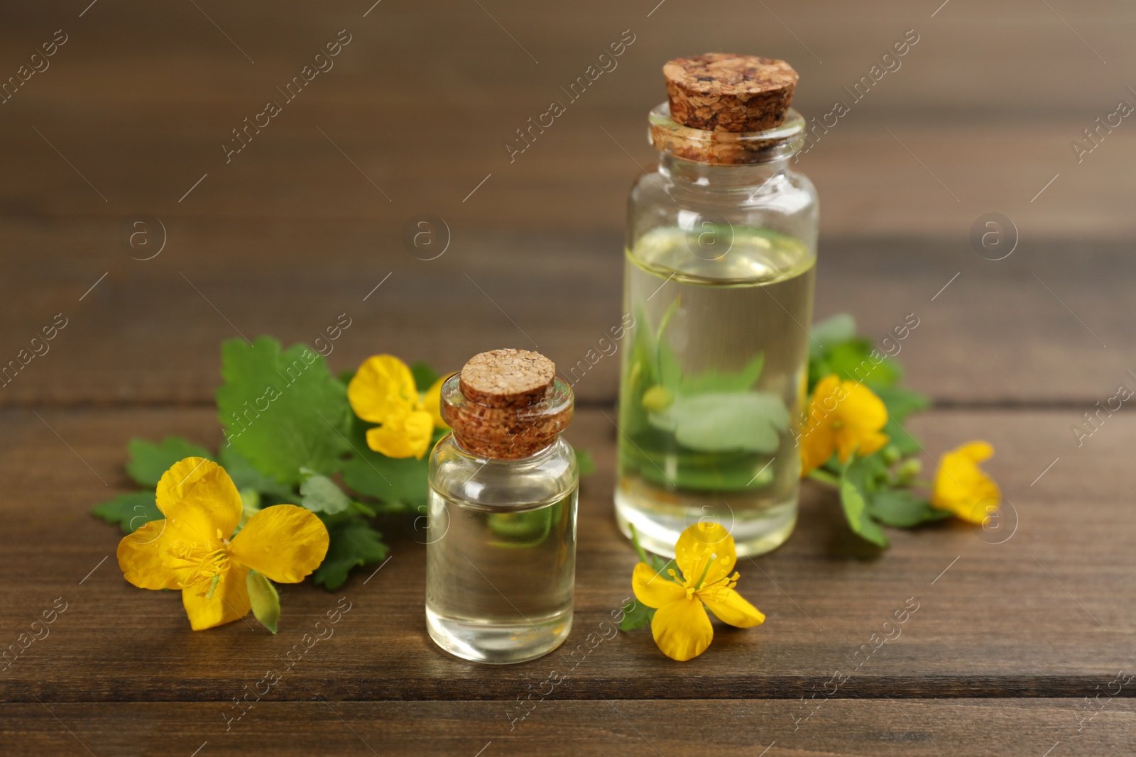Photo of Bottles of natural celandine oil near flowers on wooden table
