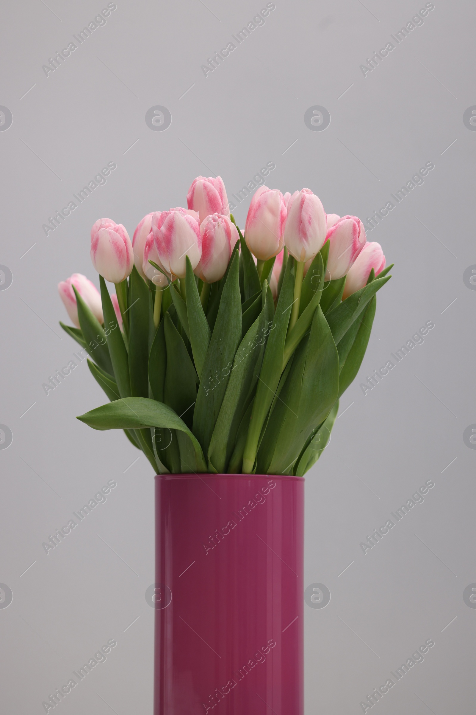 Photo of Beautiful bouquet of fresh pink tulips on light grey background