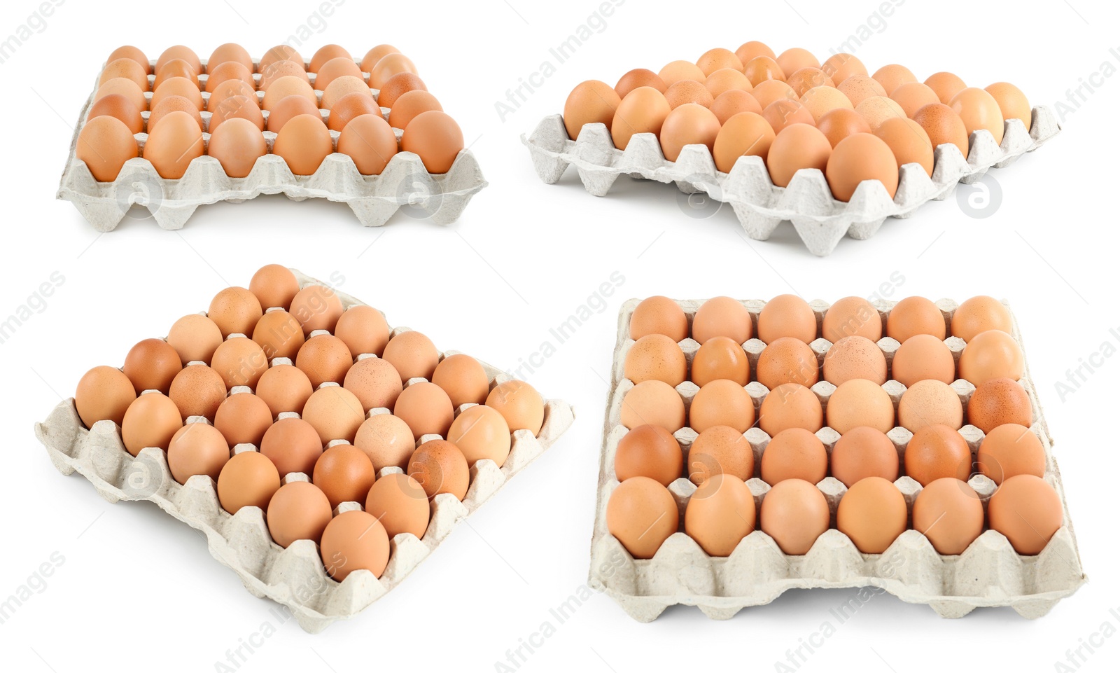 Image of Set of raw chicken eggs on white background