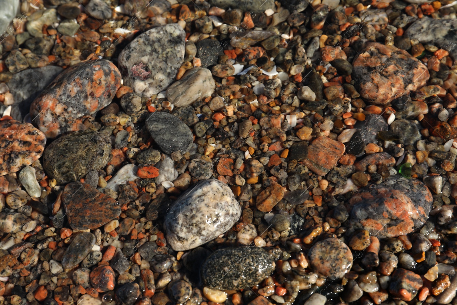 Photo of Beautiful pebbles in sea water as background, top view