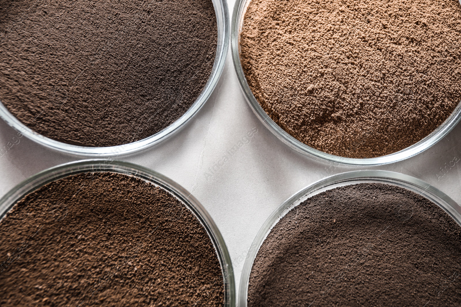 Photo of Petri dishes with soil samples on grey table, flat lay. Laboratory research