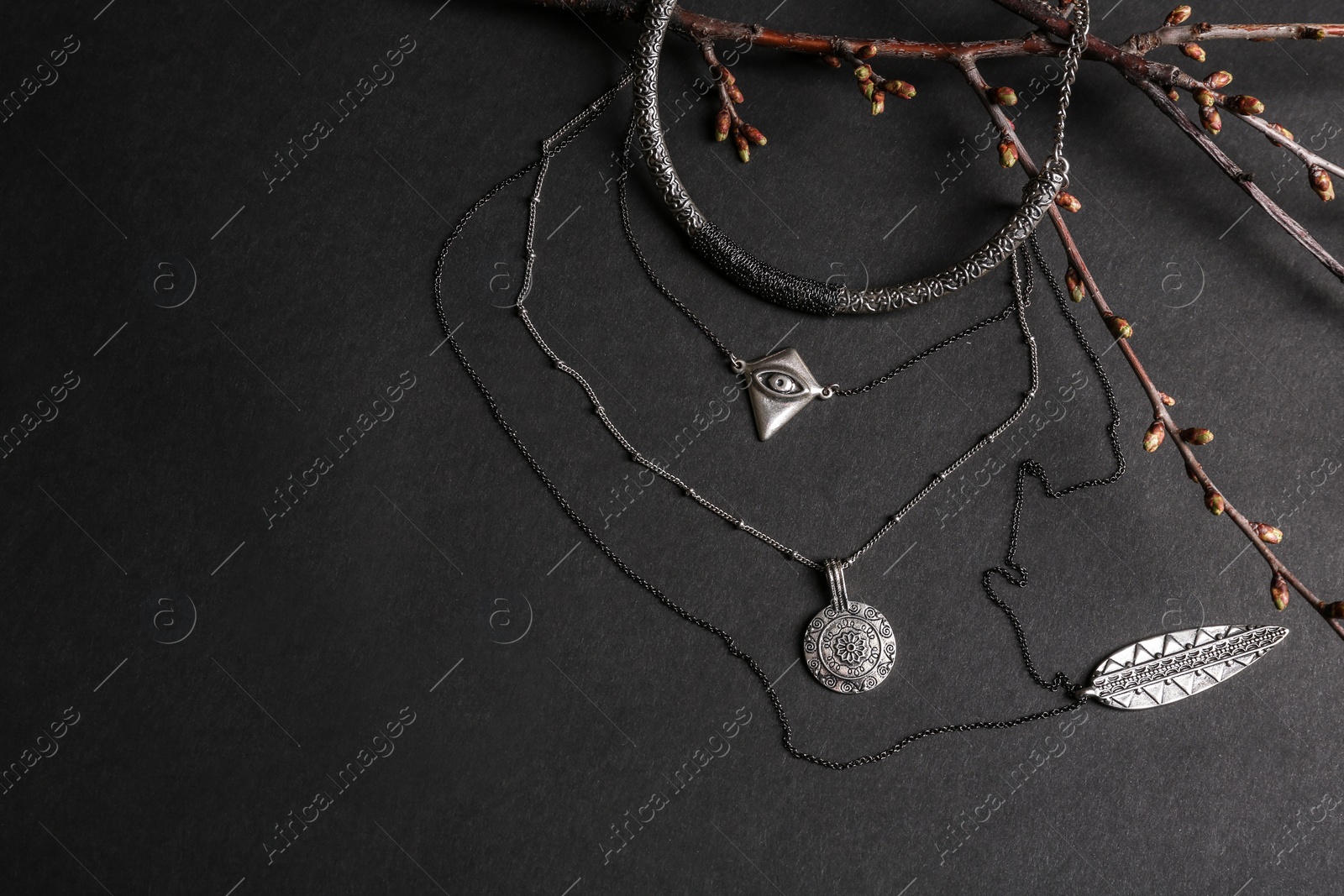 Photo of Different necklaces and pendants with branches on black background, space for text. Luxury jewelry