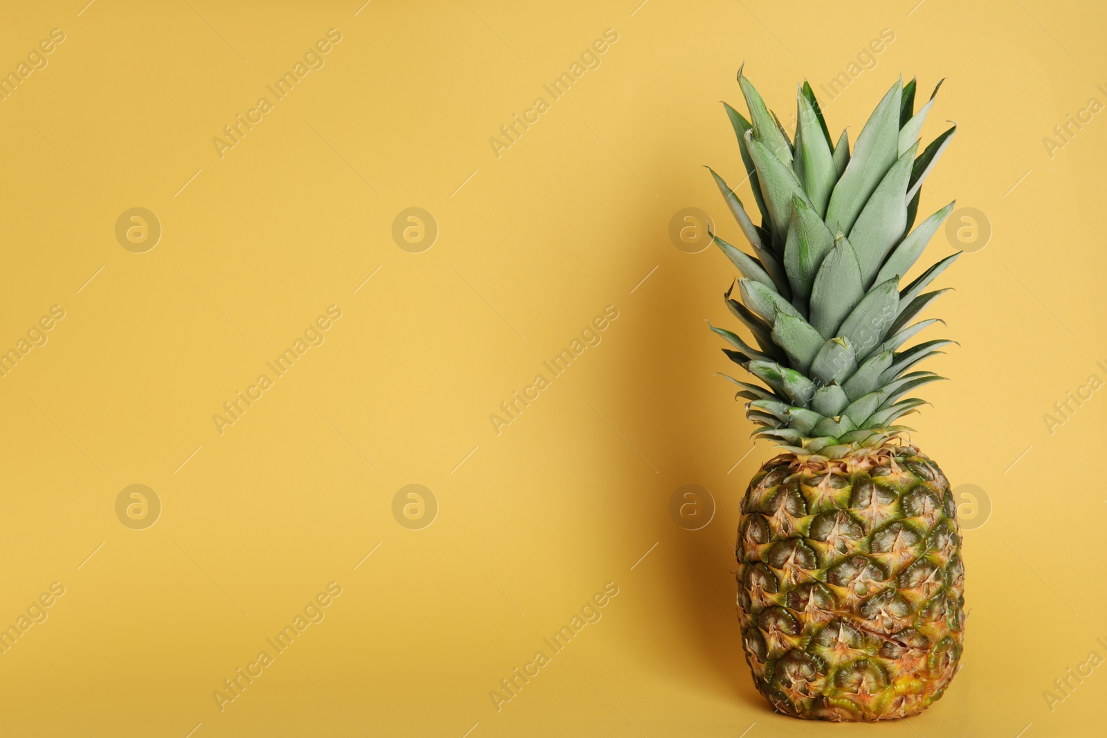 Photo of Fresh ripe juicy pineapple on orange background. Space for text