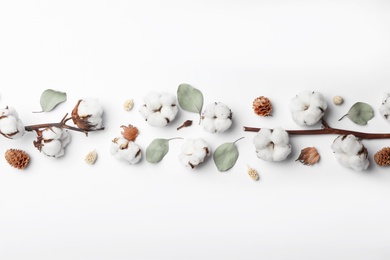 Composition with cotton flowers on white background, top view