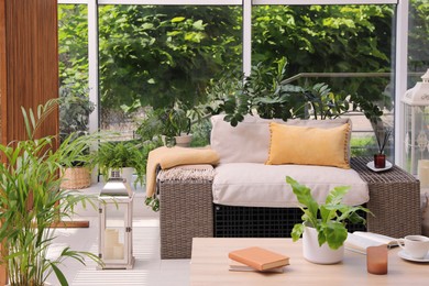 Indoor terrace interior with modern furniture and houseplants