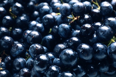 Photo of Fresh ripe juicy grapes with water drops as background, closeup