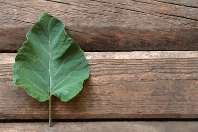 Photo of Fresh green burdock leaf on wooden table, top view. Space for text