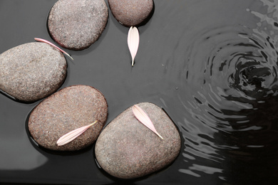 Spa stones and pink flower petals in water, flat lay. Zen lifestyle