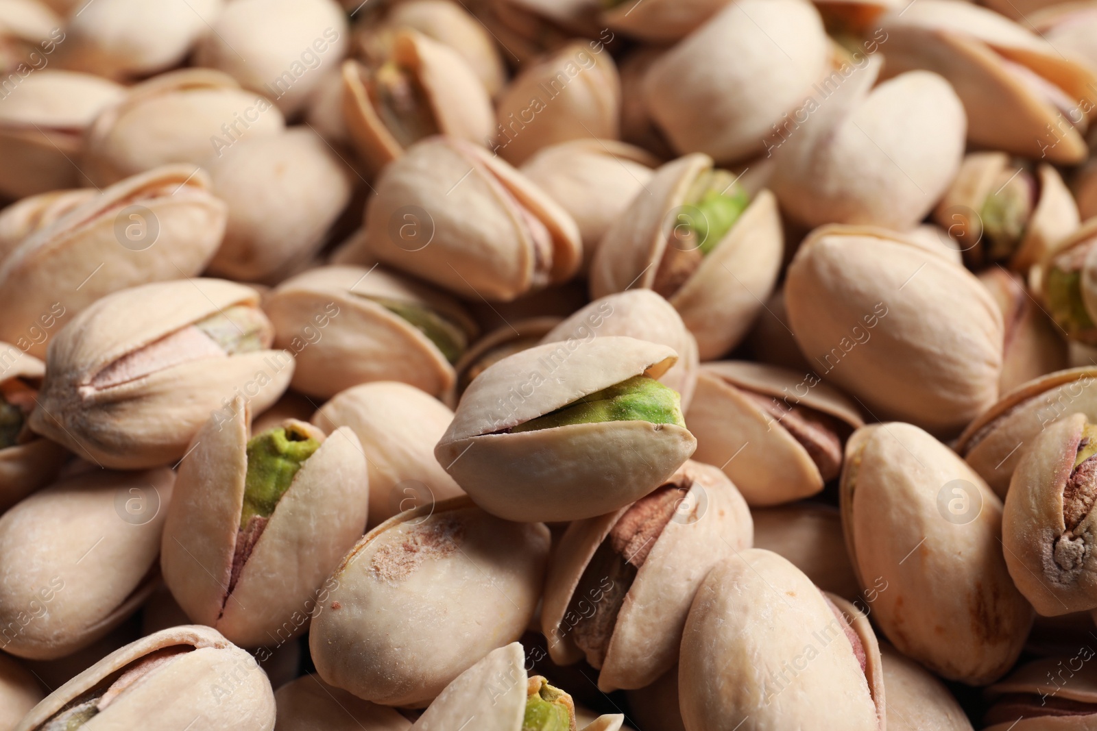 Photo of Organic pistachio nuts in shell as background, closeup