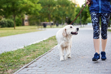 Photo of Young woman with her dog together in park. Pet care