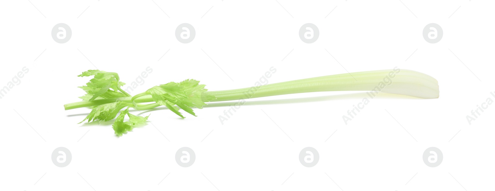 Photo of Fresh green celery stem isolated on white