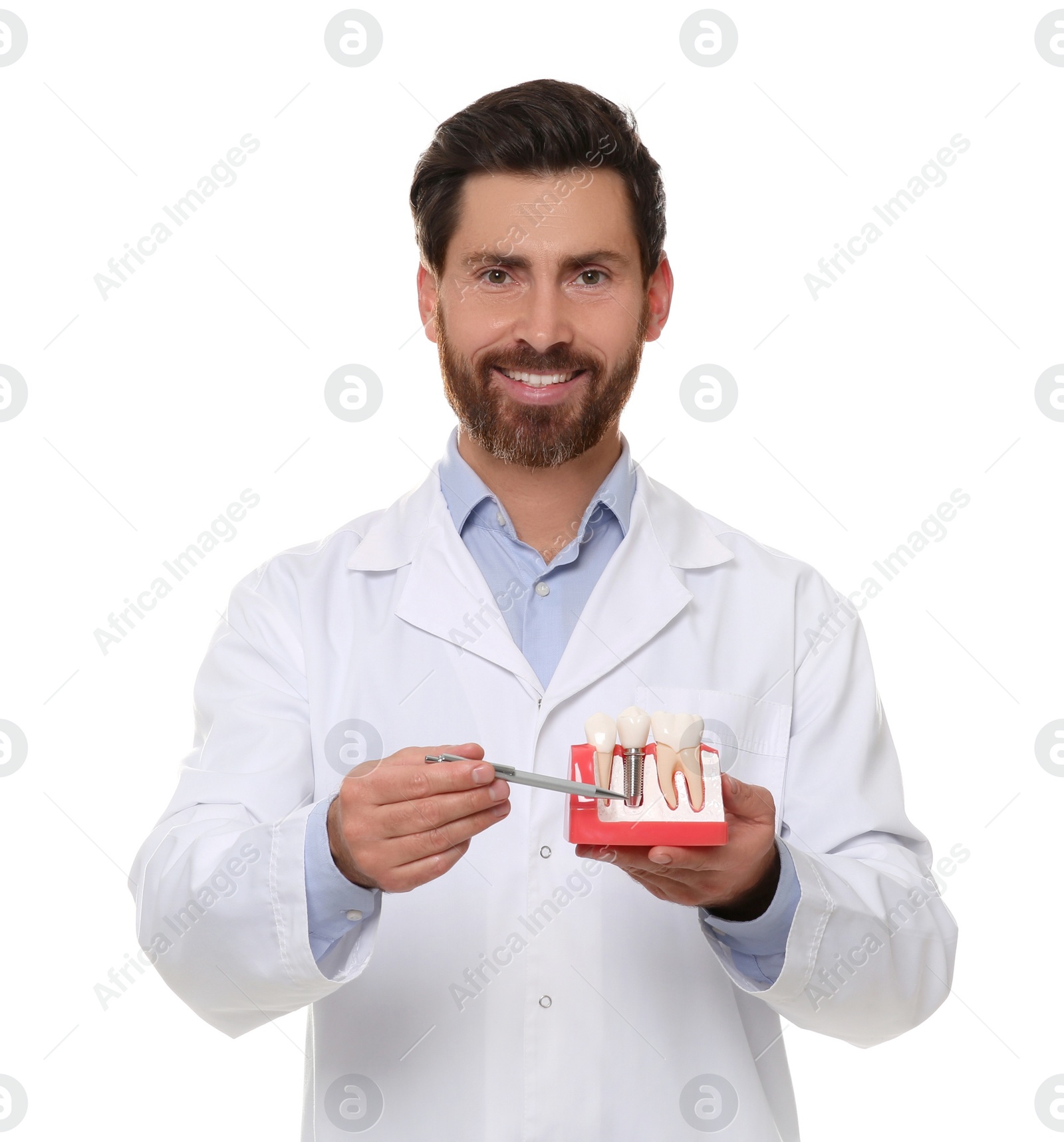 Photo of Dentist holding educational model of dental implant on white background