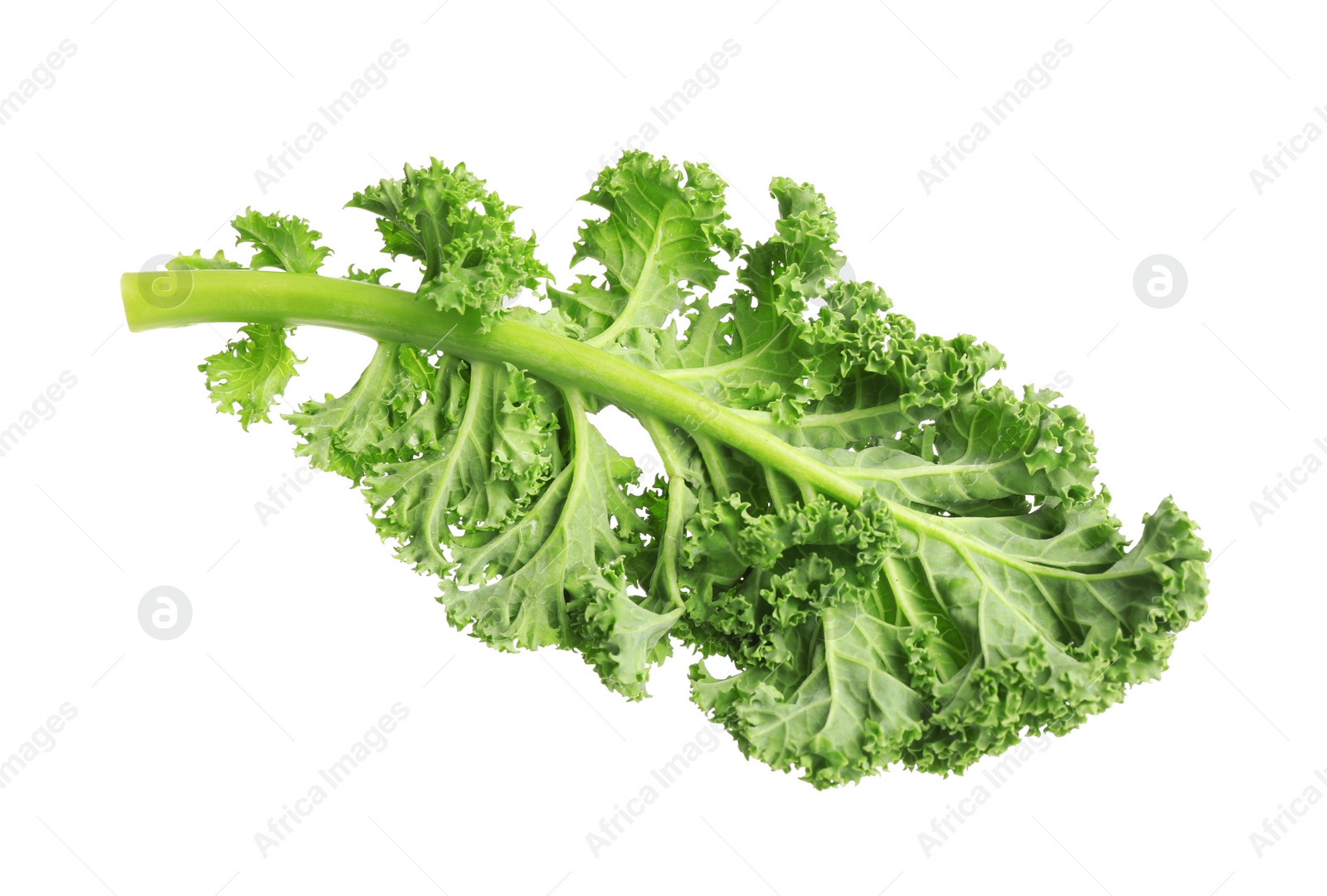 Photo of Fresh green kale leaf isolated on white