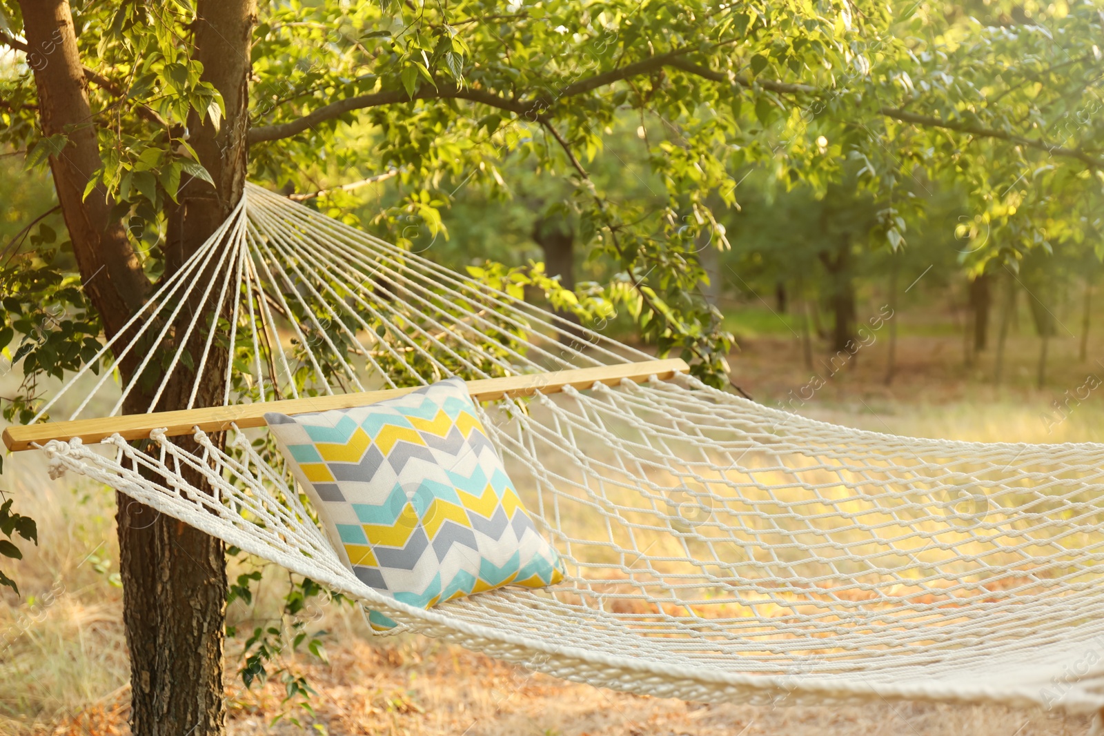 Photo of Comfortable net hammock with soft pillow at green garden