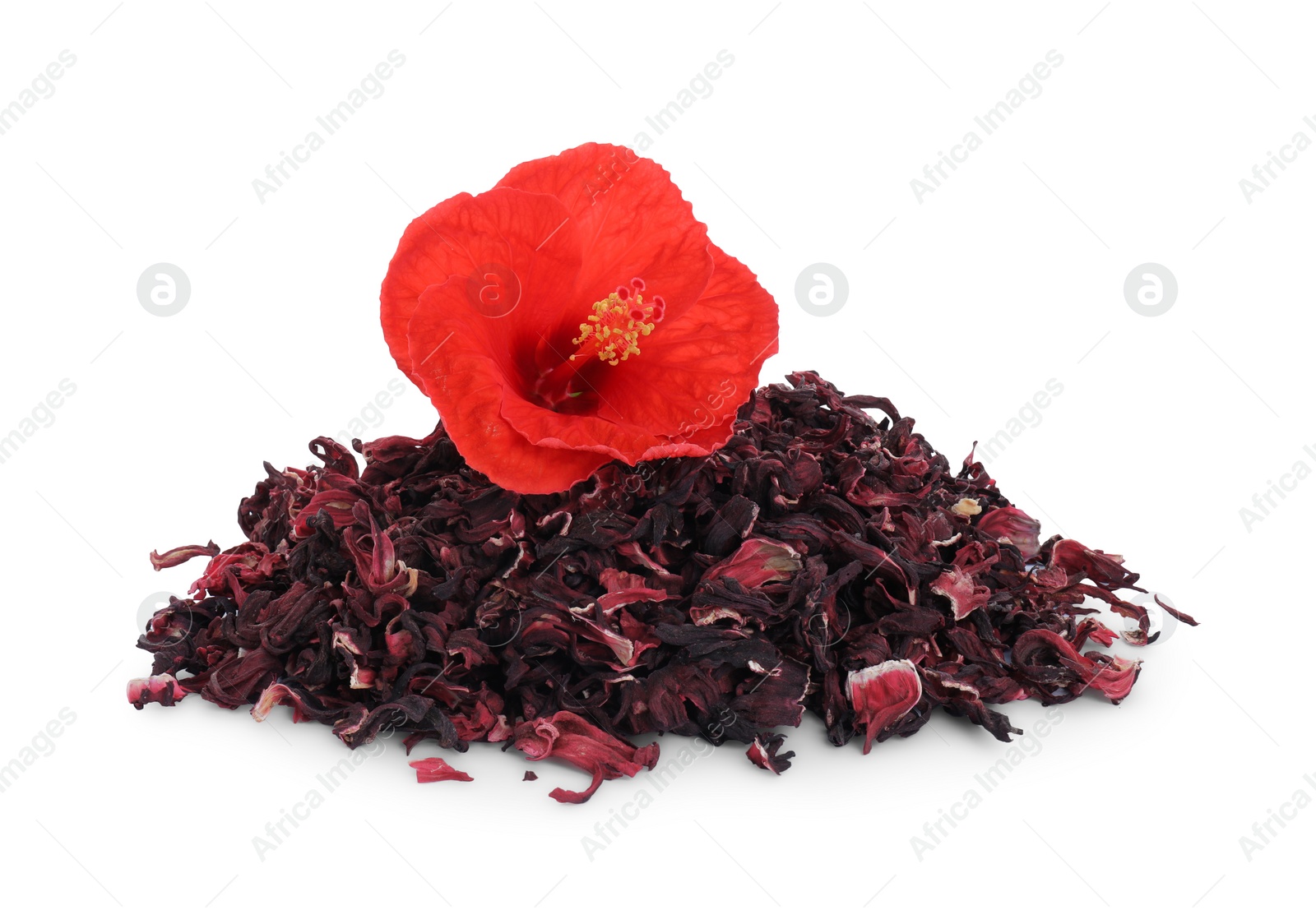 Photo of Pile of dry hibiscus tea and beautiful flower isolated on white