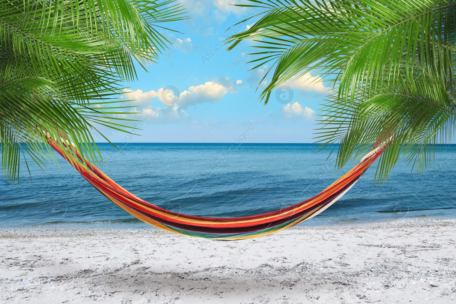 Image of Hammock between palms at sandy beach near sea on sunny day