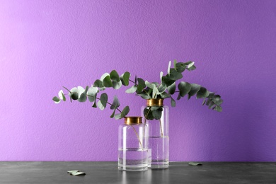 Photo of Beautiful eucalyptus branches in glass vases on table against purple background