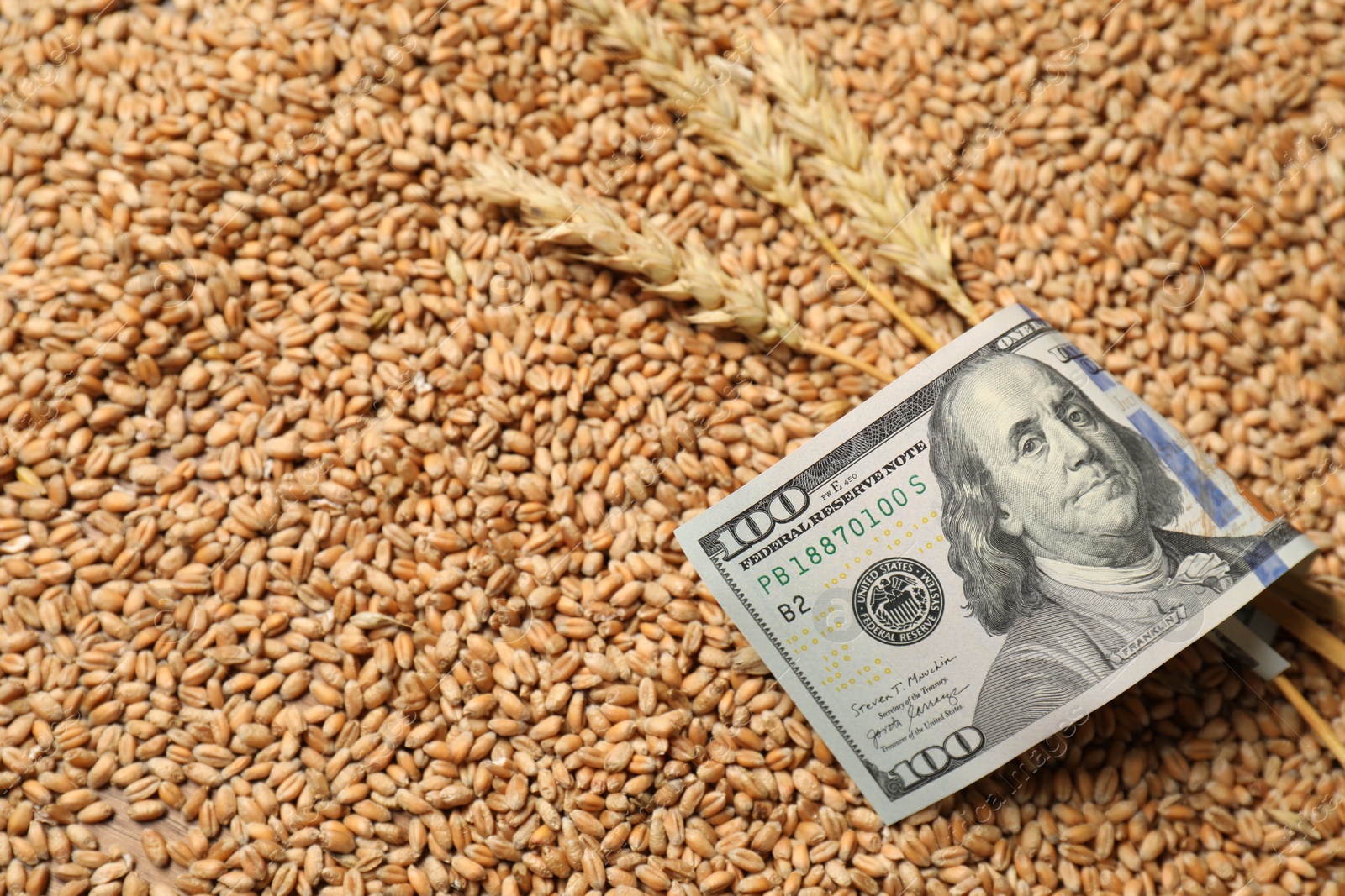 Photo of Dollar banknote and wheat ears on grains, closeup. Agricultural business