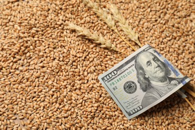 Dollar banknote and wheat ears on grains, closeup. Agricultural business