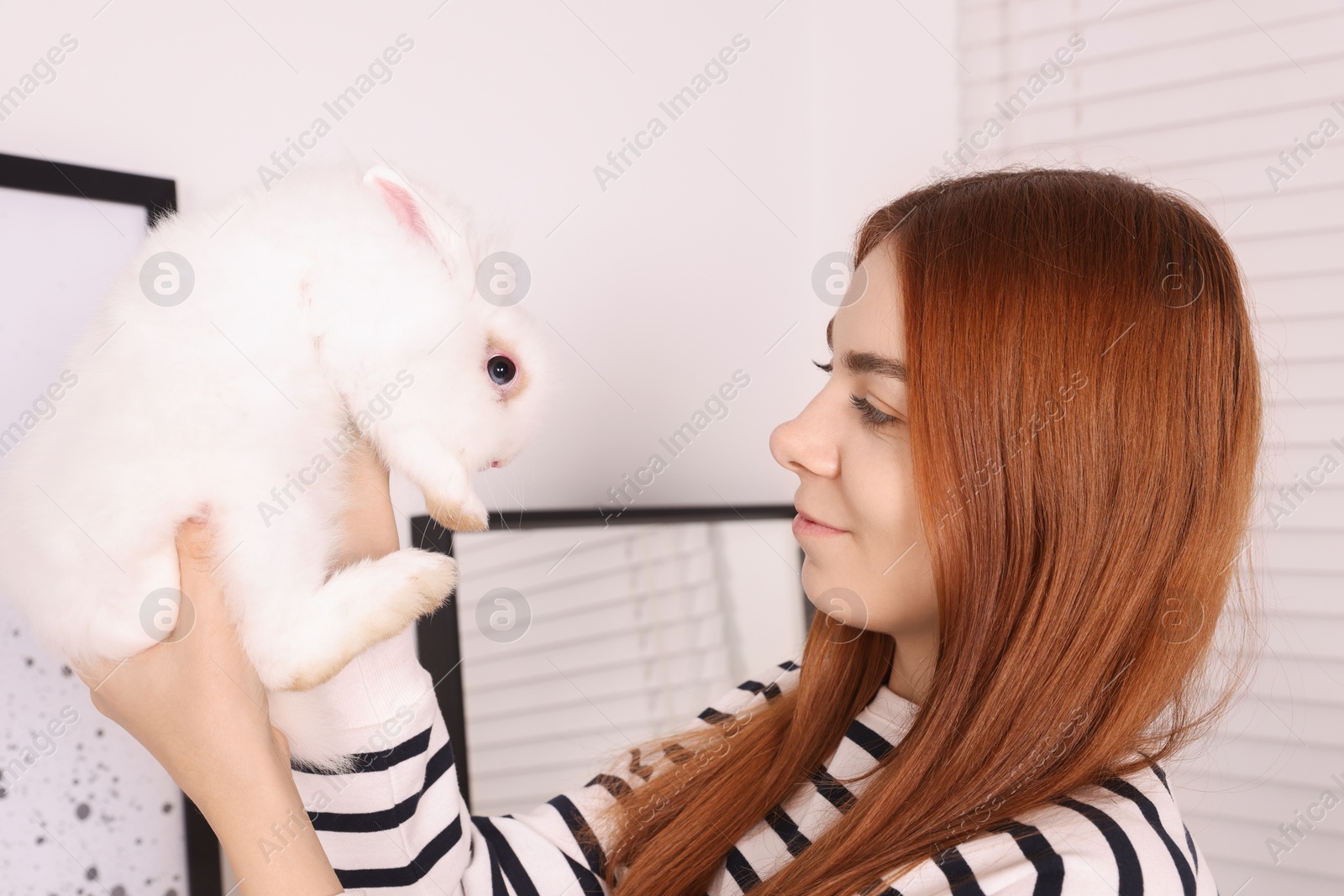 Photo of Woman with fluffy white rabbit indoors. Cute pet