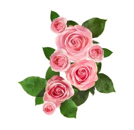 Image of Beautiful bouquet with pink roses on white background