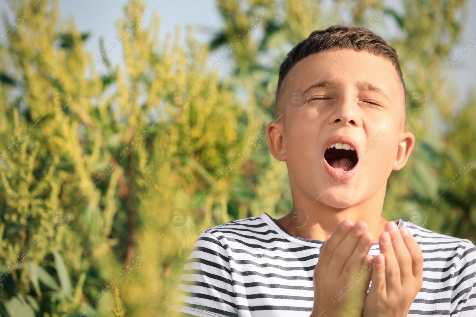 Photo of Little boy suffering from ragweed allergy outdoors