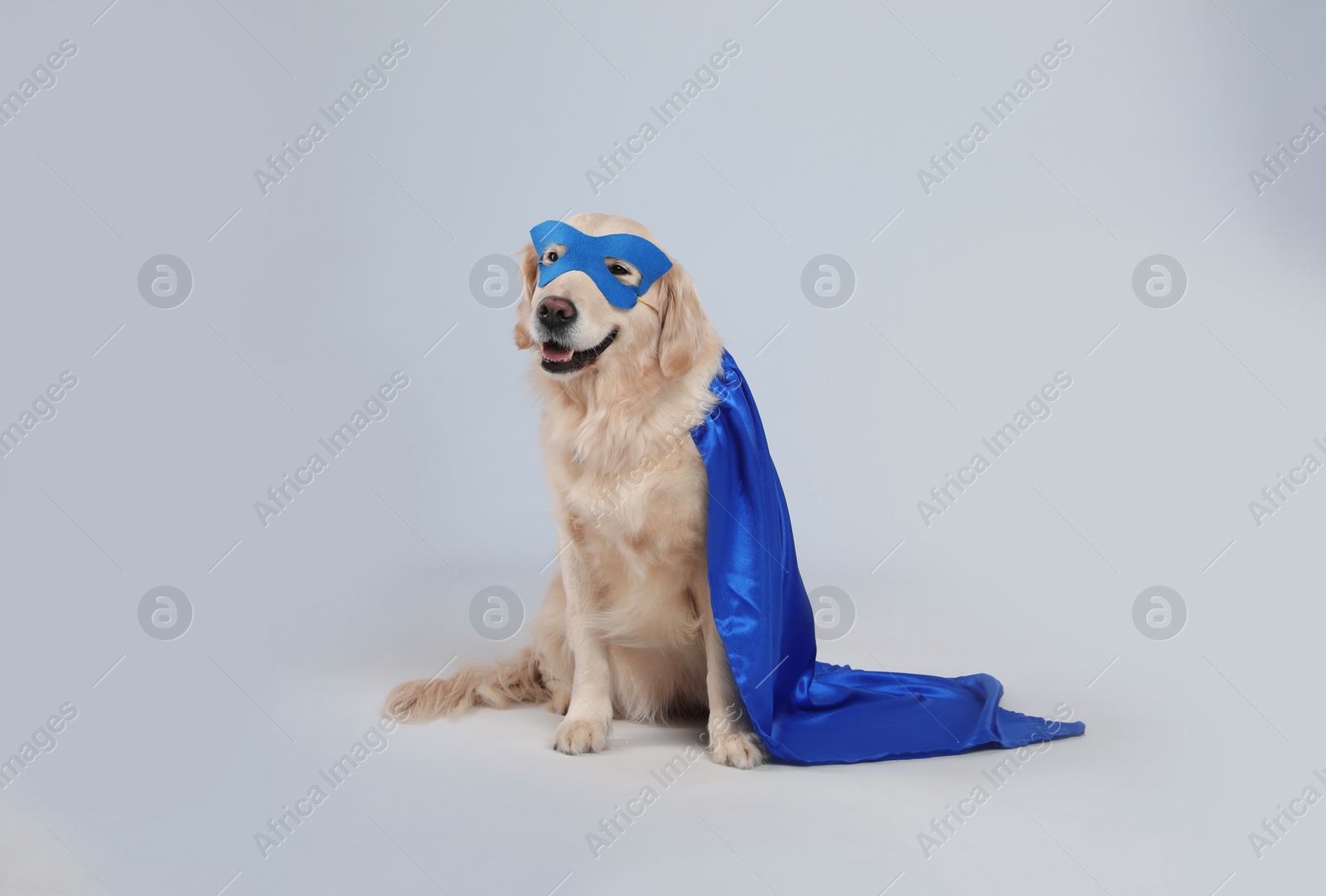 Photo of Adorable dog in blue superhero cape and mask on light grey background