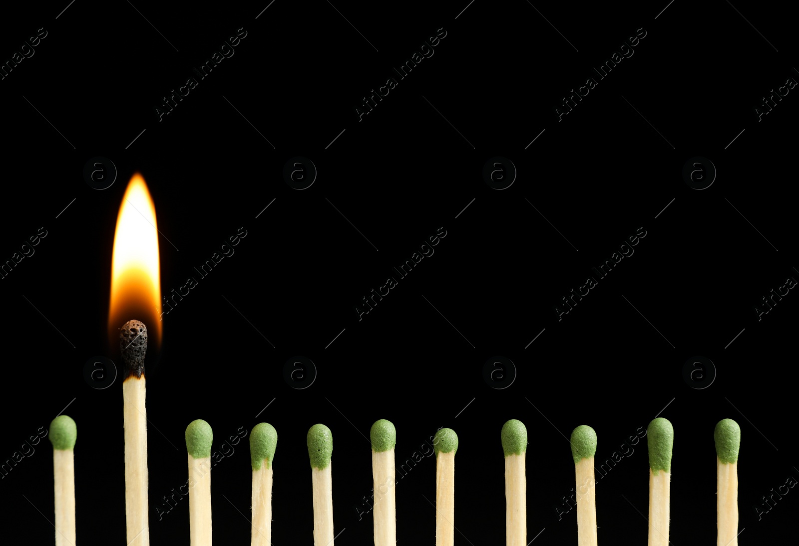 Photo of Burning match among unlit ones on black background, closeup