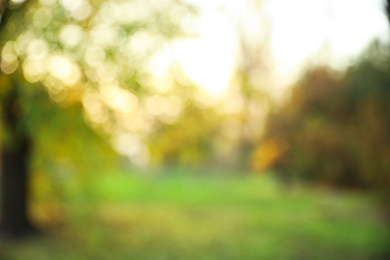 Photo of Blurred view of beautiful park. Bokeh effect