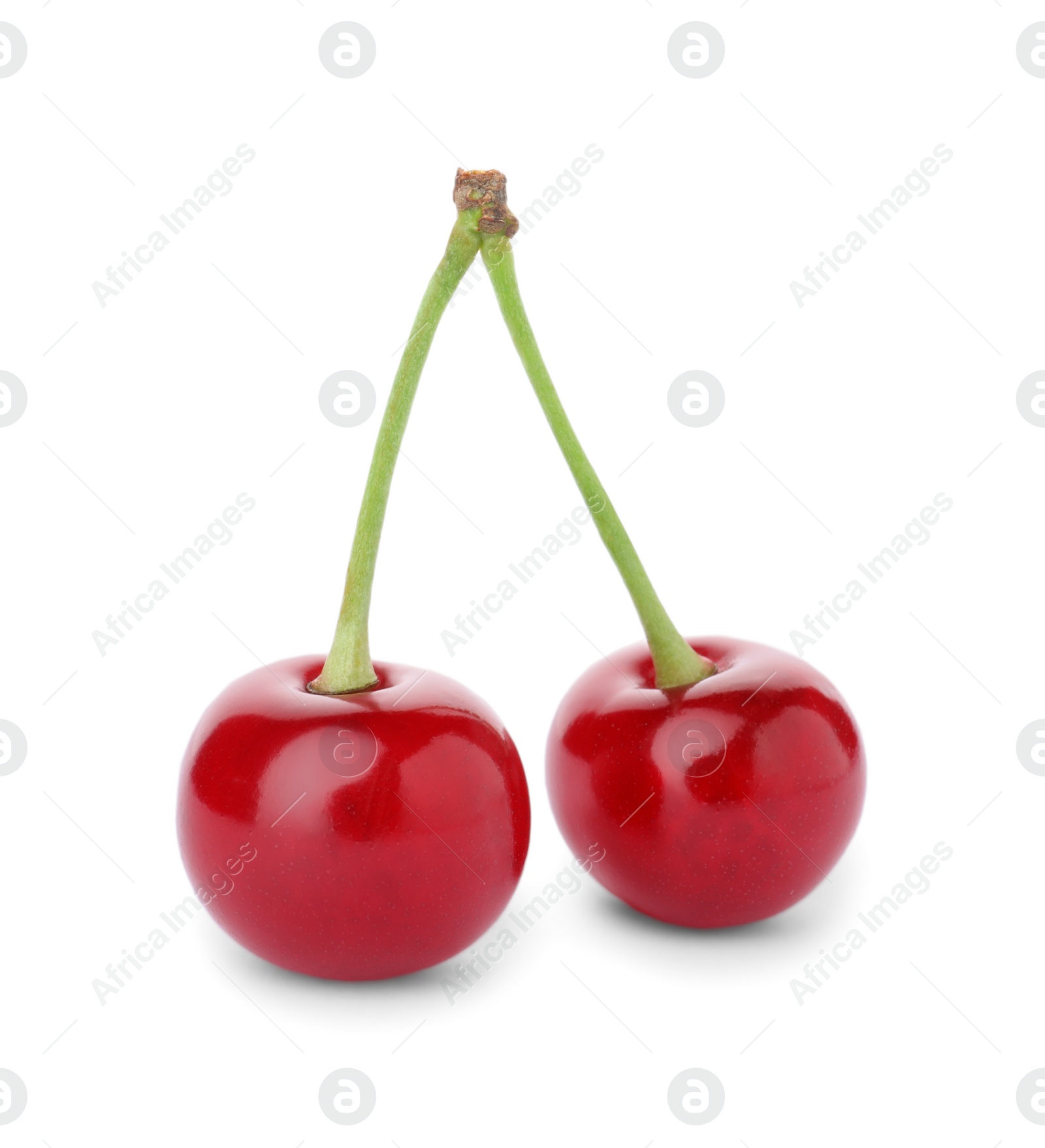 Photo of Delicious ripe sweet cherries isolated on white