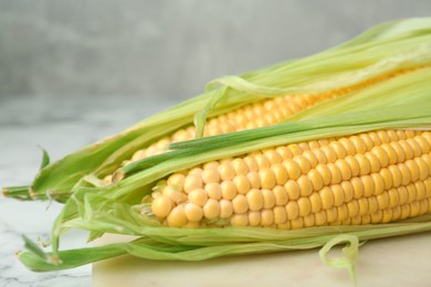 Photo of Fresh corncobs with green husks on grey table, closeup