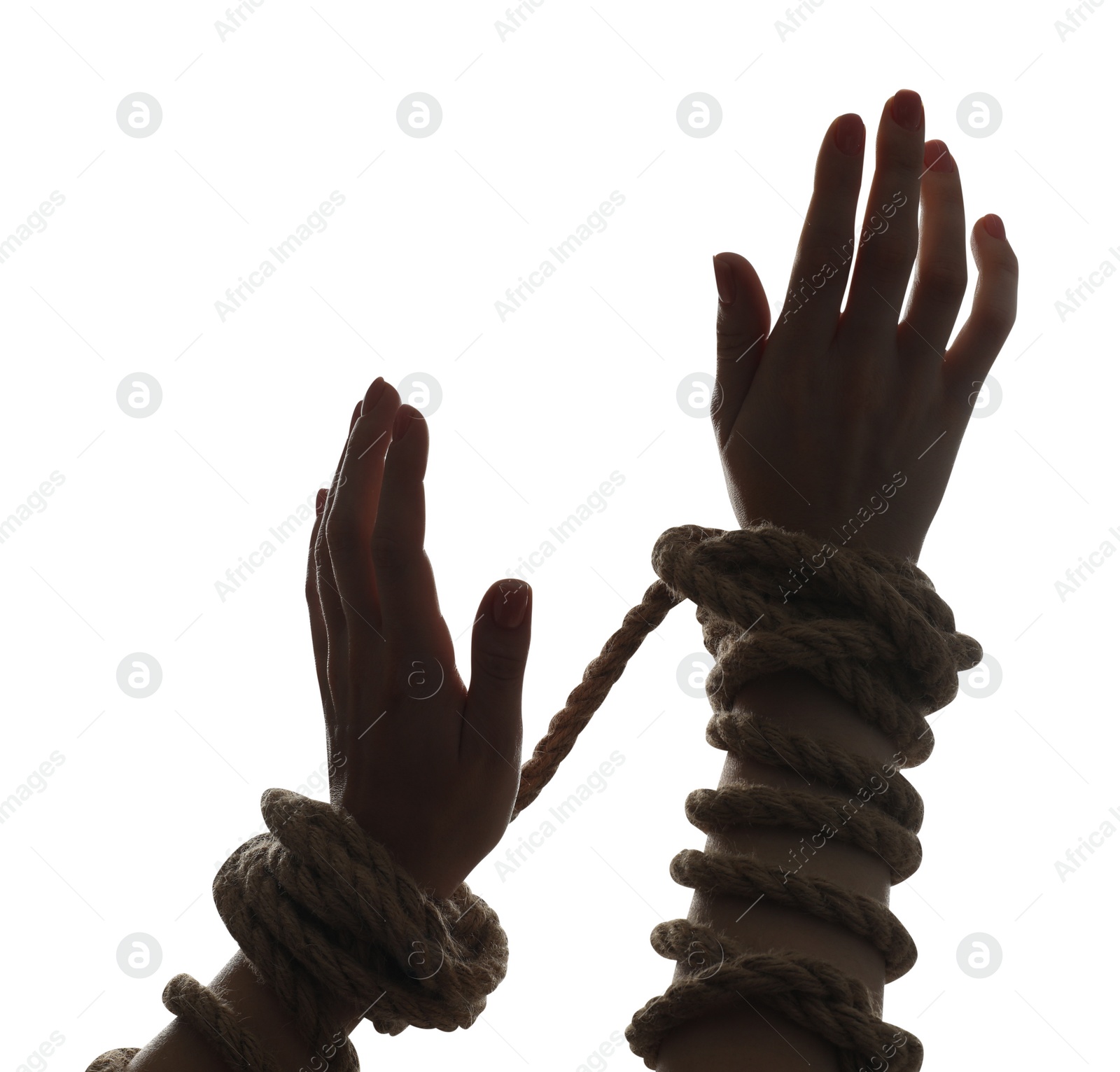 Photo of Freedom concept. Woman with tied arms on white background, closeup