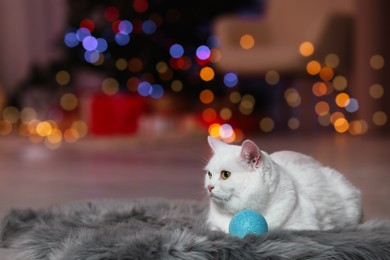 Photo of Christmas atmosphere. Adorable cat with bauble resting on rug against blurred lights. Space for text
