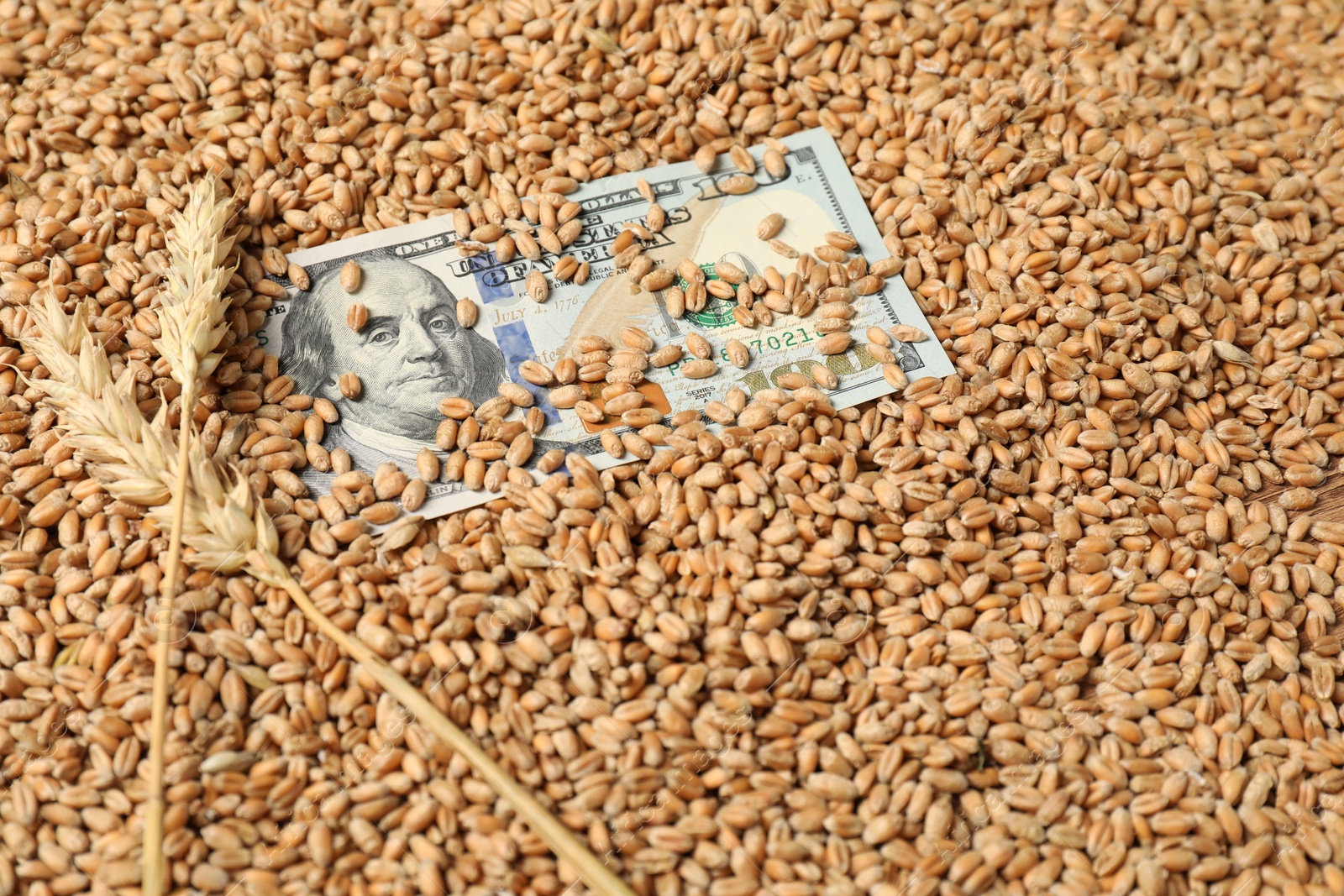 Photo of Dollar banknote and wheat ears on grains. Agricultural business