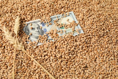 Dollar banknote and wheat ears on grains. Agricultural business