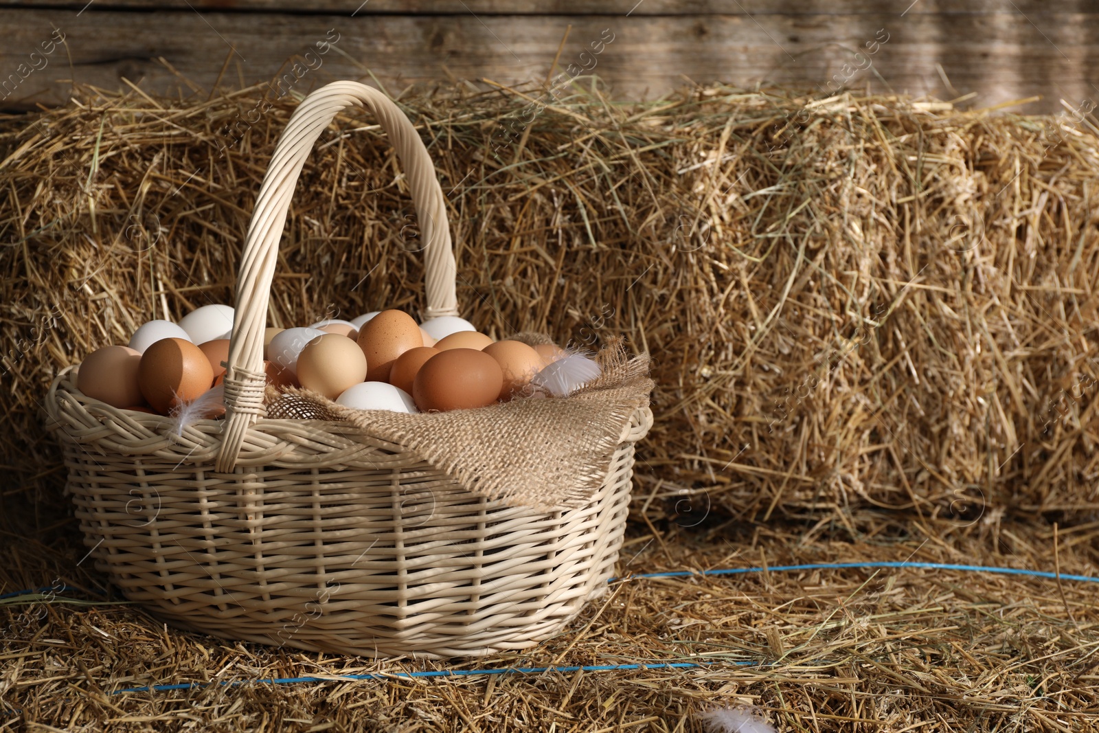 Photo of Fresh chicken eggs in wicker basket on dried straw bale. Space for text