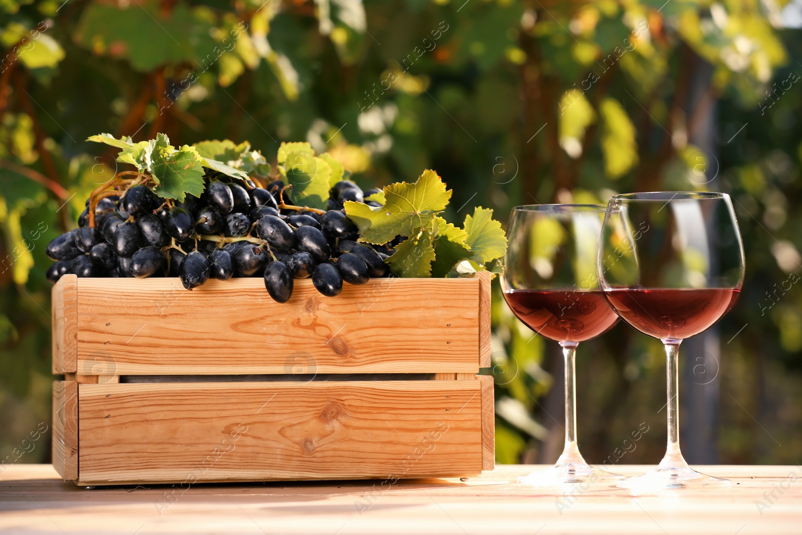 Photo of Composition with wine and ripe grapes on table outdoors