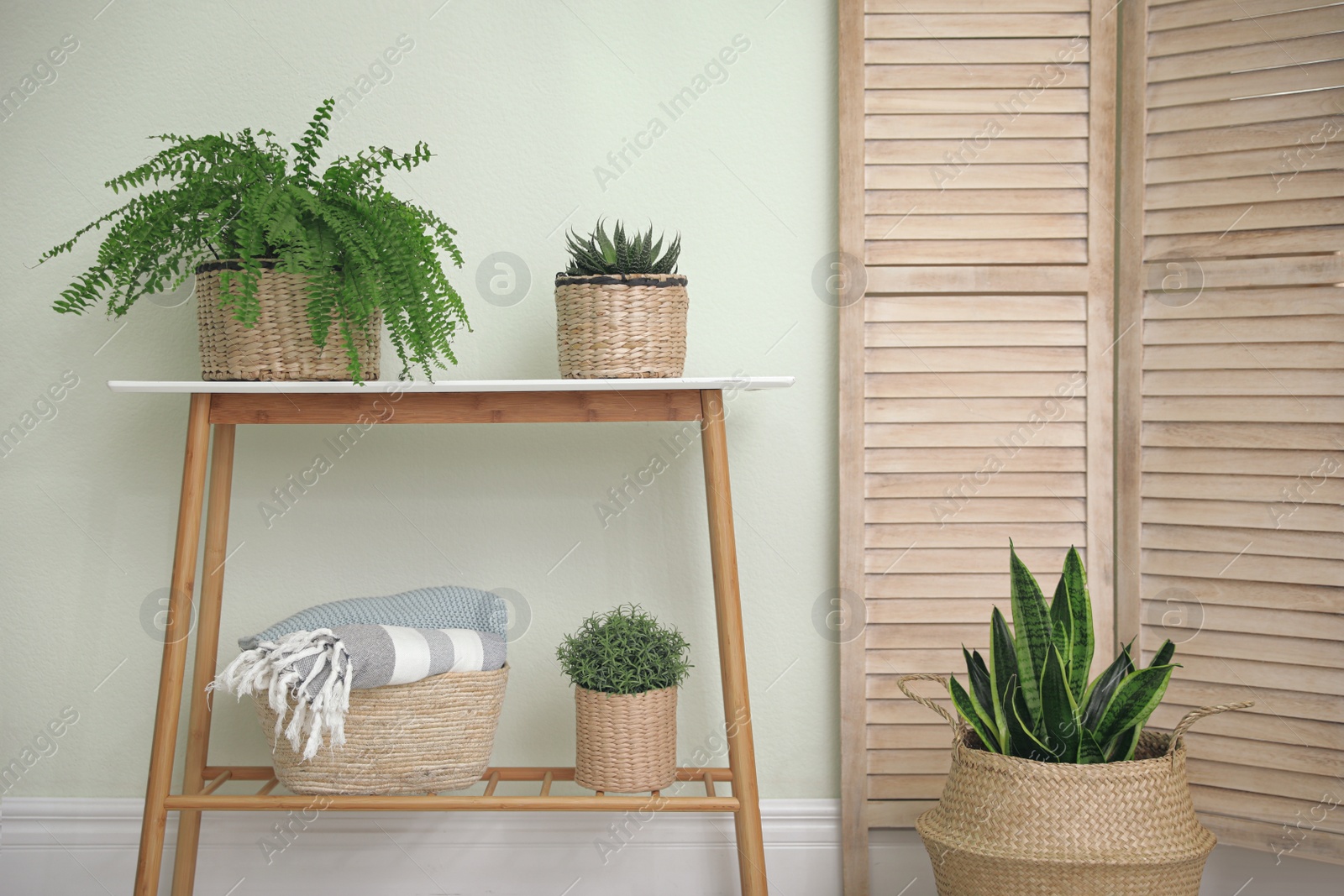 Photo of Houseplants in wicker pots indoors. Interior design