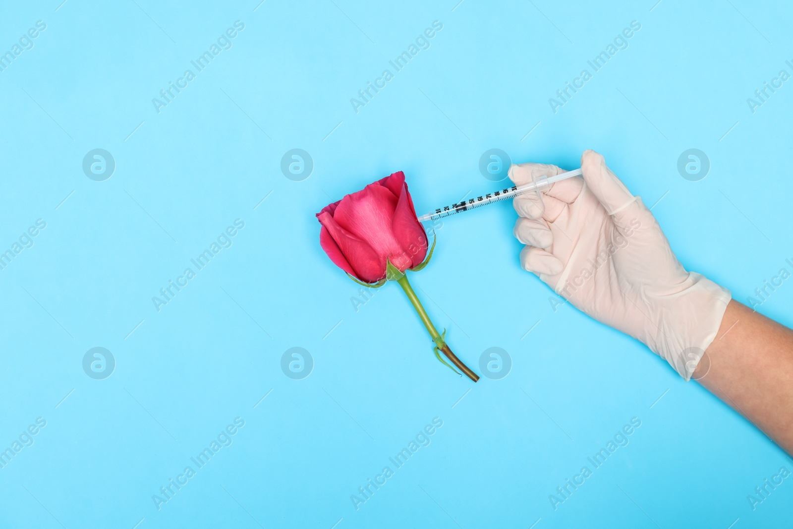 Photo of Doctor making injection to rose on light blue background, top view