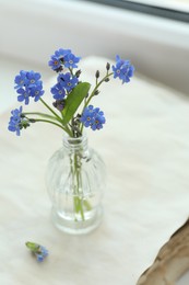 Photo of Beautiful blue forget-me-not flowers in glass bottle on window sill