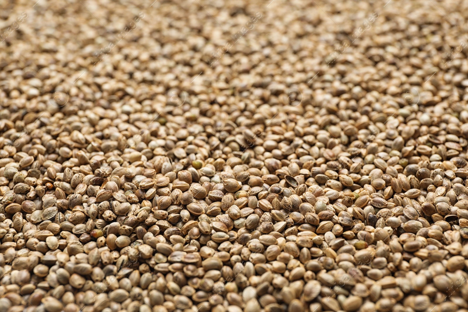 Photo of Raw organic hemp seeds as background, closeup