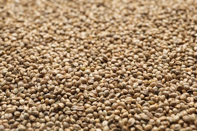 Photo of Raw organic hemp seeds as background, closeup