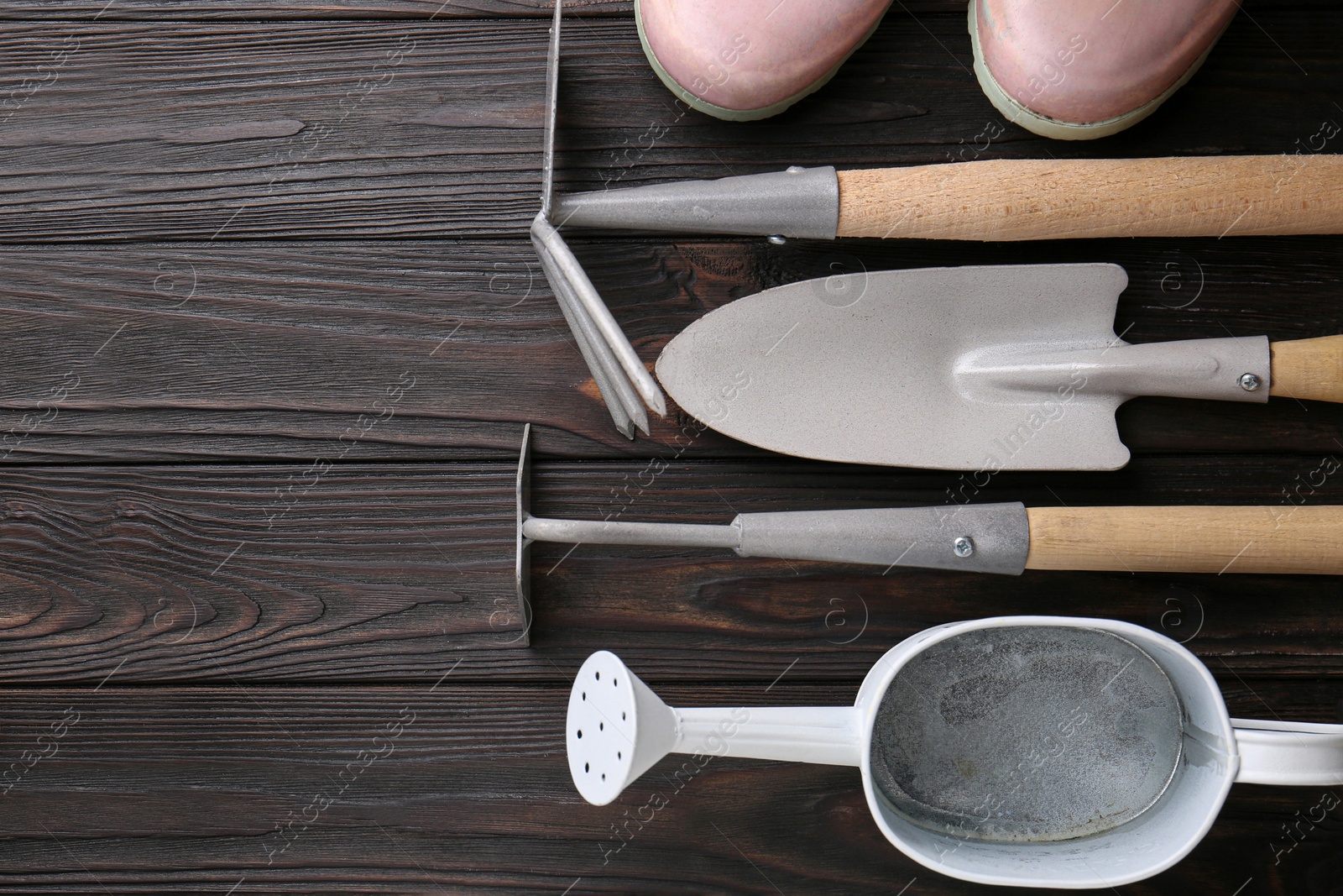 Photo of Flat lay composition with watering can and gardening tools on wooden table. Space for text